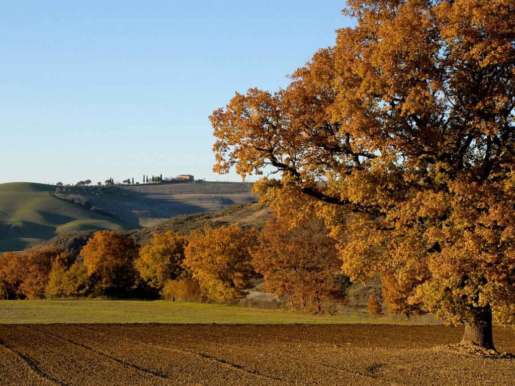 BolognaTrekking e lo sviluppo dell'appennino bolognese