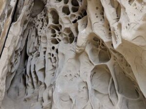 BolognaTrekking alle grotte di Soprasasso
