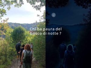 BolognaTrekking ai calanchi dell'Abbadessa