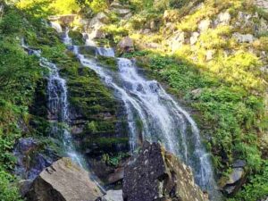 BolognaTrekking alle cascate del Dardagna