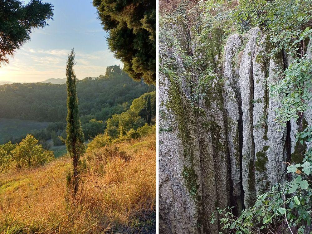 BolognaTrekking ai Gessi Bolognesi