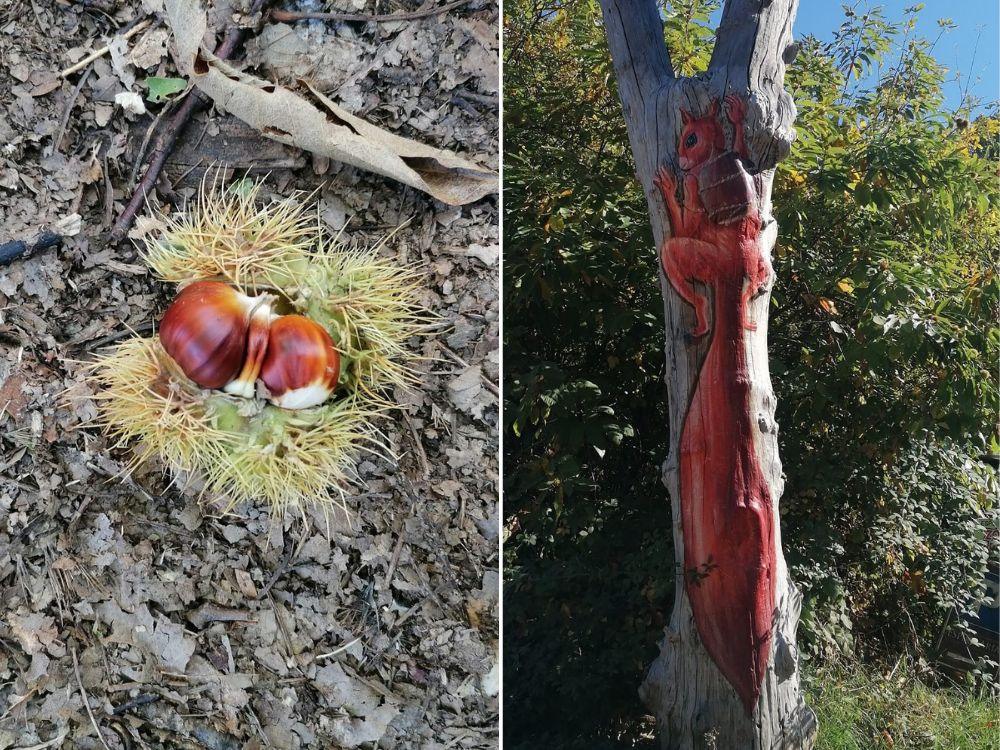 Bolognatrekking a Savigno