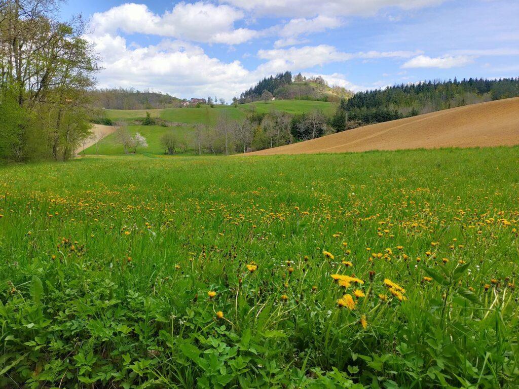 STORIE DI MONTAGNA – 9/5/2026